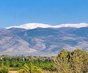 קורסים במכללת תל חי - גמלידע