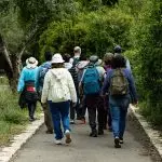 נחל חדרה וחוף אולגה