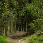 נחל עדה ותנינים - מבית חנניה לג'יסר א- זרקא