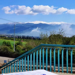 סודות החיים הטובים