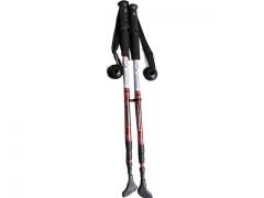 מקלות נורדים להליכה