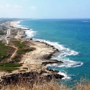 על קו החוף מתל דור למעין צבי