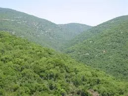 הר מירון-נחל כזיב עליון-הר פקיעין