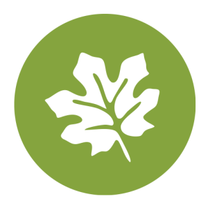 במעלה הגולן