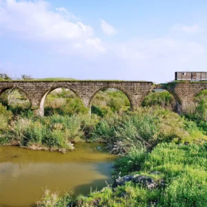 שדה אליהו וגשר הישנה 11.12.25