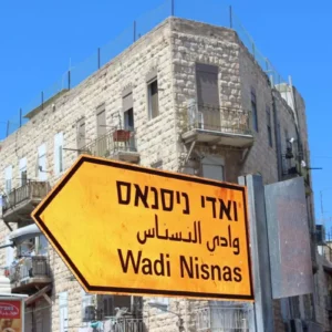 סיור אומנות - חג החגים בחיפה