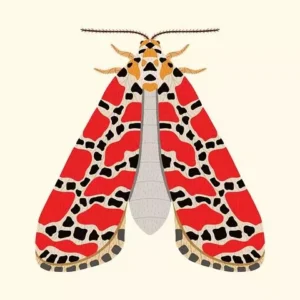 סיור אומנות - בין עבר קדום לעכשווי מרגש