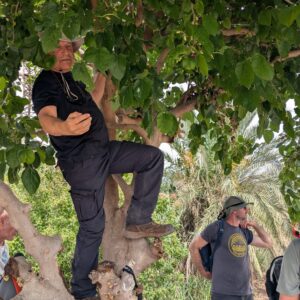 מפגש שישי ואחרון