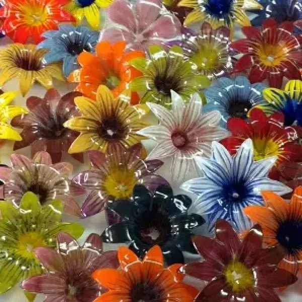 AnyConv.com__WhatsApp Image 2025-09-25 at 13.28.16