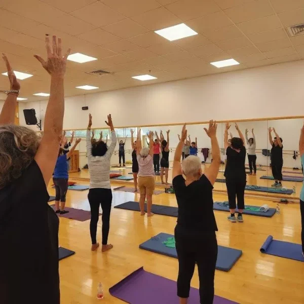 AnyConv.com__זאבית דרומי תכניות פעילות (2)